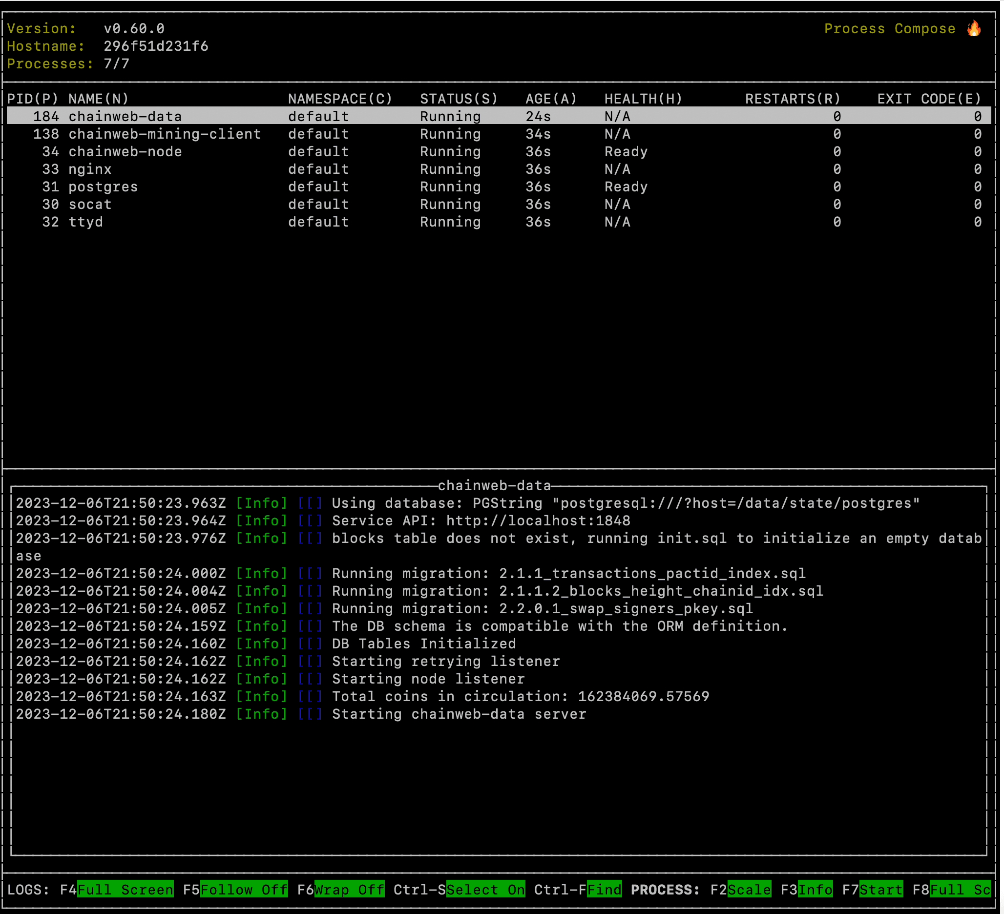 Development network (devnet) console